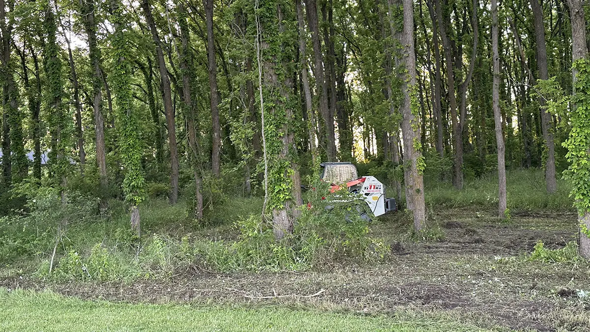 Forestry mulching project