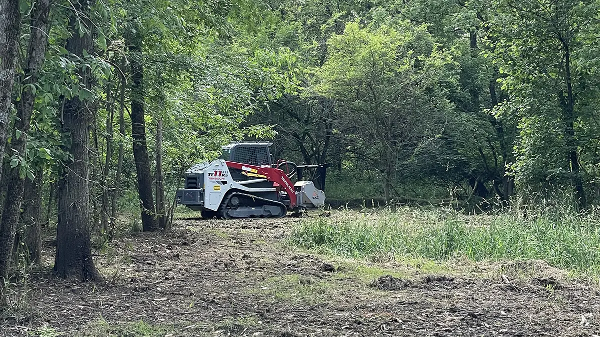 Right of way clearing project